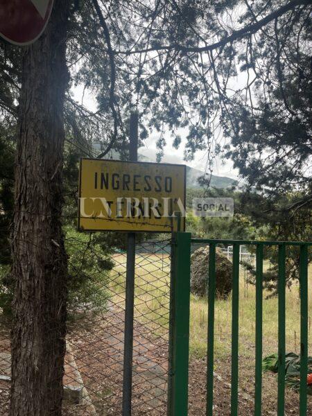 Elezioni regionali, Forza Italia Assisi attacca Proietti sullo sport: "Gestione delle strutture disastrosa" (foto) 11