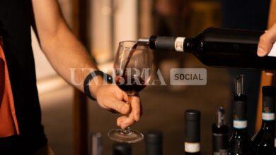 UmbriaWine, Perugia pronta ad ospitare la seconda edizione del festival del vino 4 UmbriaWine, Perugia pronta ad ospitare la seconda edizione del festival del vino 3