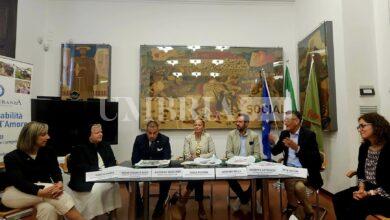 Da Todi a Collevalenza, domenica 29 settembre torna la "Camminata della Speranza" 10 Da Todi a Collevalenza, domenica 29 settembre torna la "Camminata della Speranza" 9