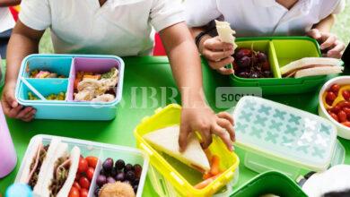 Casi di salmonella a Bastia Umbra: chiuse le mense scolastiche 13