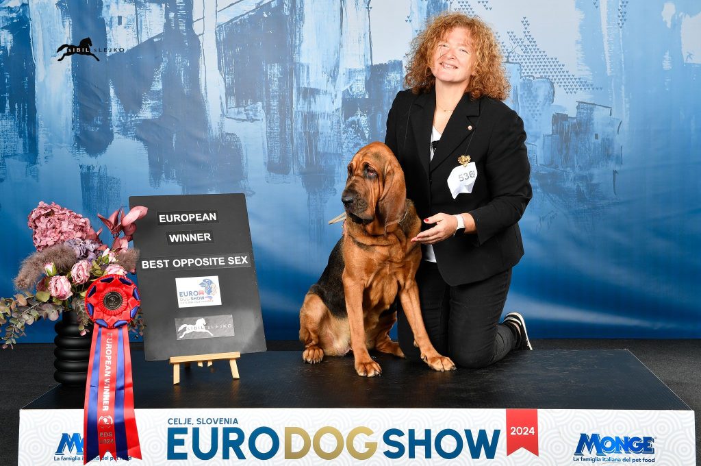 Laura Benedetti e la sua bloodhound Valery trionfano in Slovenia conquistando il titolo di European Winner (foto) 5