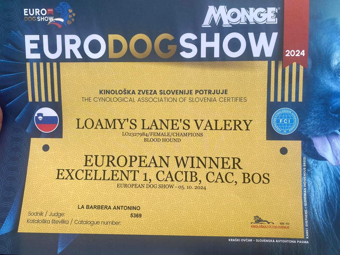 Laura Benedetti e la sua bloodhound Valery trionfano in Slovenia conquistando il titolo di European Winner (foto) 7