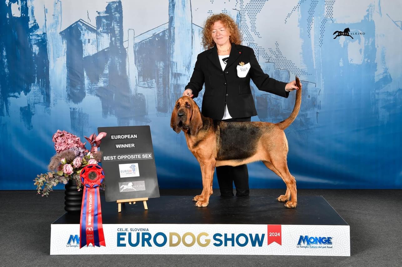 Laura Benedetti e la sua bloodhound Valery trionfano in Slovenia conquistando il titolo di European Winner (foto) 9