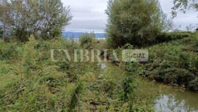 Lunedì il primo sopralluogo del Commissario Nazionale per la siccità al lago Trasimeno 2 Lunedì il primo sopralluogo del Commissario Nazionale per la siccità al lago Trasimeno 1