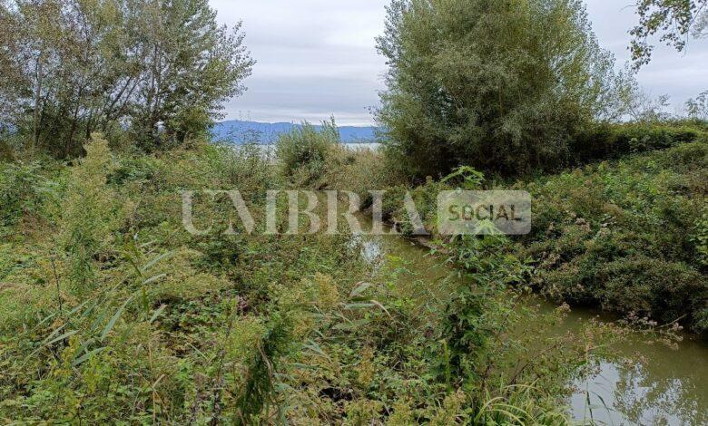 Lunedì il primo sopralluogo del Commissario Nazionale per la siccità al lago Trasimeno 2 Lunedì il primo sopralluogo del Commissario Nazionale per la siccità al lago Trasimeno 1