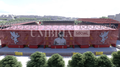Stadio Curi: pronto a partire il restyling del “monumento” sportivo della città 4 Stadio Curi: pronto a partire il restyling del “monumento” sportivo della città 3