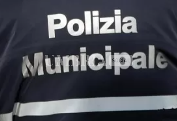Perugia, il Comune cerca due agenti per la municipale 2 Perugia, il Comune cerca due agenti per la municipale 1