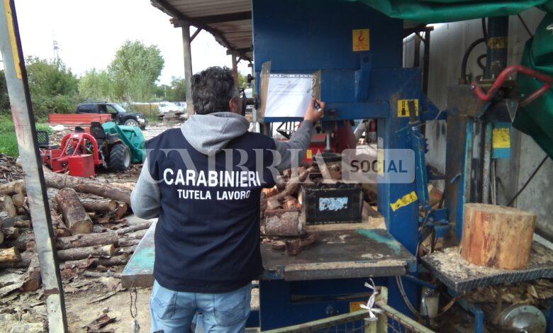 Trevi, 68enne arrestato per caporalato: sfruttate tre persone nel commercio della legna 2 Trevi, 68enne arrestato per caporalato: sfruttate tre persone nel commercio della legna 1
