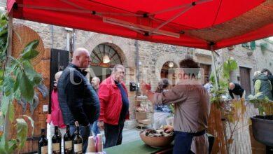 La Festa del Bosco di Montone anima l’autunno: presentata la 40esima edizione 11