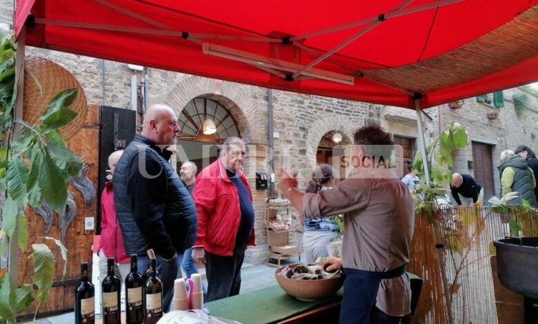 La Festa del Bosco di Montone anima l’autunno: presentata la 40esima edizione 2 La Festa del Bosco di Montone anima l’autunno: presentata la 40esima edizione 1
