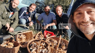 In Umbria una raccolta da record di porcini: nel marscianese oltre 1000 in un weekend 3