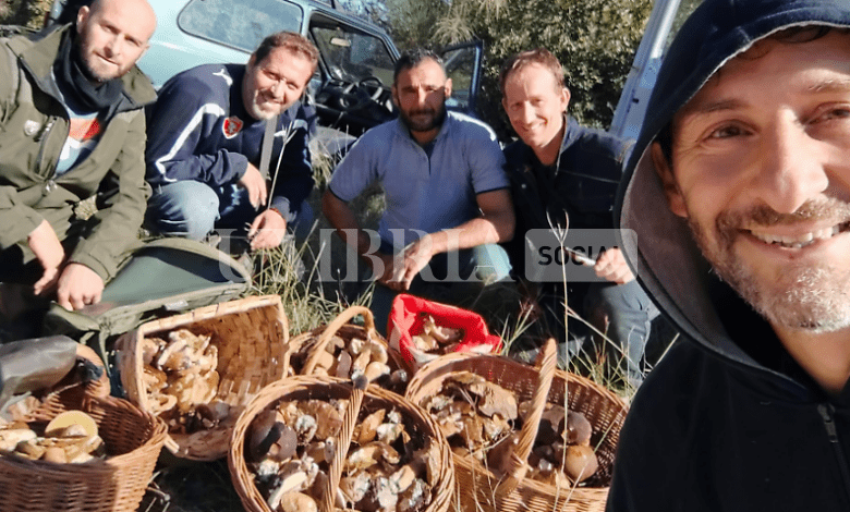 In Umbria una raccolta da record di porcini: nel marscianese oltre 1000 in un weekend 1