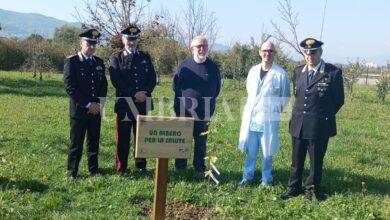 Città di Castello tra i 32 ospedali italiani scelti per il progetto “Un albero per la salute” 18 Città di Castello tra i 32 ospedali italiani scelti per il progetto “Un albero per la salute” 17