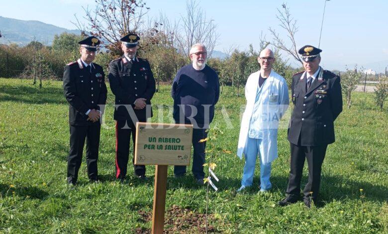 Città di Castello tra i 32 ospedali italiani scelti per il progetto “Un albero per la salute” 2 Città di Castello tra i 32 ospedali italiani scelti per il progetto “Un albero per la salute” 1