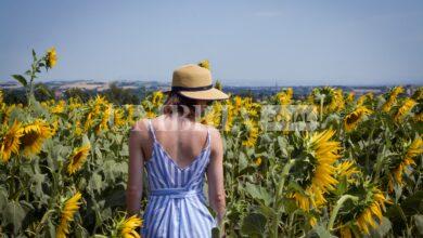 Turismo: pubblicati 2 bandi della Regione, in arrivo 23 milioni a sostegno delle imprese ricettive umbre 1