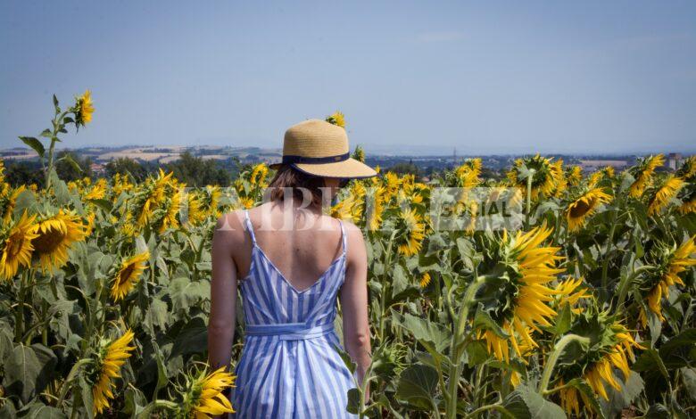 Turismo: pubblicati 2 bandi della Regione, in arrivo 23 milioni a sostegno delle imprese ricettive umbre 2 Turismo: pubblicati 2 bandi della Regione, in arrivo 23 milioni a sostegno delle imprese ricettive umbre 1