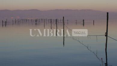 Trasimeno, arriva il commissario straordinario: è Nicola dell’Acqua 6 Trasimeno, arriva il commissario straordinario: è Nicola dell’Acqua 5