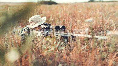 Caccia in Umbria 2024-2025, il Tar boccia i ricorsi sul calendario venatorio regionale 9