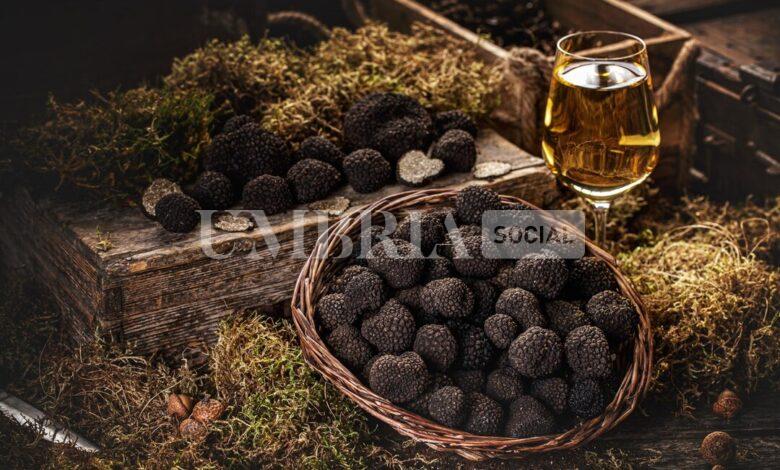 Urbani Tartufi fa chiarezza su informazioni imprecise che danneggiano l’intera filiera 2 Urbani Tartufi fa chiarezza su informazioni imprecise che danneggiano l’intera filiera 1
