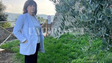 Aree montane e rurali, Porzi: “Una strategia regionale e una nuova governance per scongiurare l’isolamento di tante are" 19