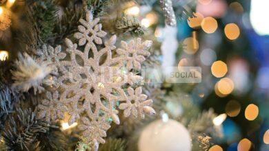 Presentato “Vivi il Natale a Gualdo Tadino 2024”: tanti gli eventi natalizi 1