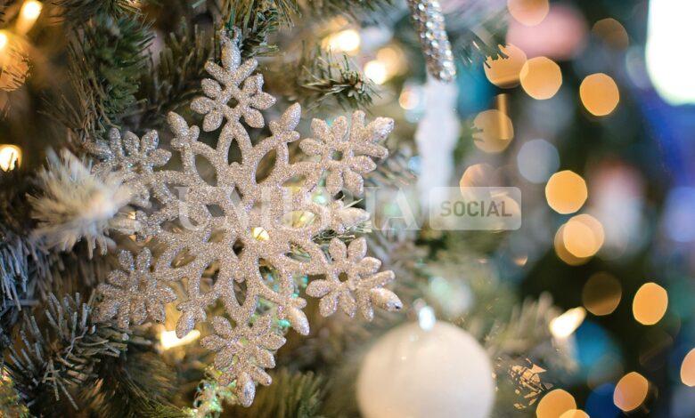 Presentato “Vivi il Natale a Gualdo Tadino 2024”: tanti gli eventi natalizi 2 Presentato “Vivi il Natale a Gualdo Tadino 2024”: tanti gli eventi natalizi 1