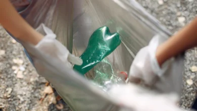 Coordinamento sindaci di centrodestra umbri: “Gravissimo sospendere la procedura per la realizzazione del termovalorizzatore” 17