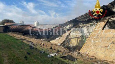 Maxi incendio a Città di Castello in un'azienda avicola: morti numerosi animali (foto) 6 Maxi incendio a Città di Castello in un'azienda avicola: morti numerosi animali (foto) 5
