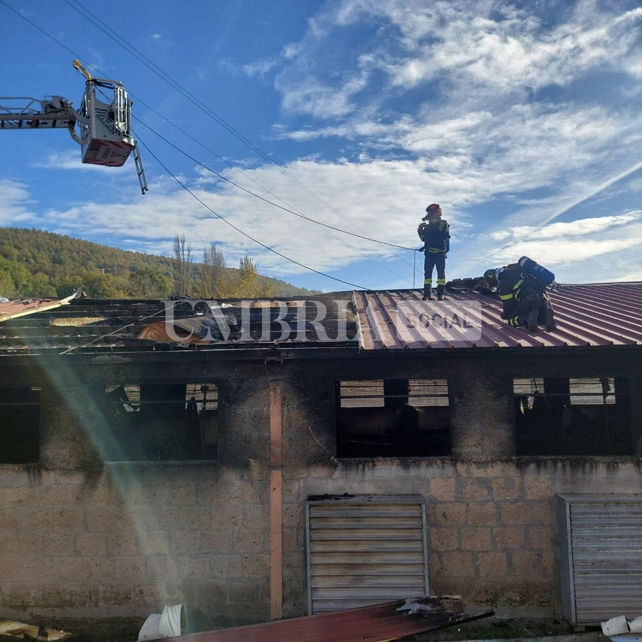 Maxi incendio a Città di Castello in un'azienda avicola: morti numerosi animali (foto) 7