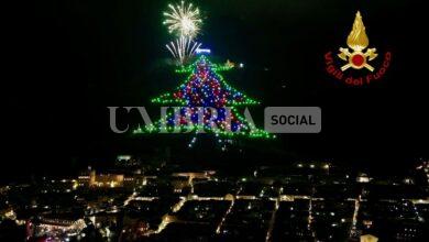Acceso a Gubbio l'albero di Natale più grande del mondo: vigili del fuoco testimonial (foto) 12
