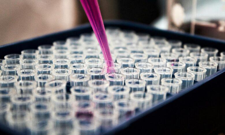 Fondazione Telethon, assegnati più di 150 mila euro in Umbria per le malattie genetiche rare 2 Fondazione Telethon, assegnati più di 150 mila euro in Umbria per le malattie genetiche rare 1