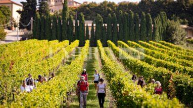 Montefalco chiude un 2024 straordinario e comincia un nuovo anno ricco di eventi e progetti per il territorio 23 Montefalco chiude un 2024 straordinario e comincia un nuovo anno ricco di eventi e progetti per il territorio 22