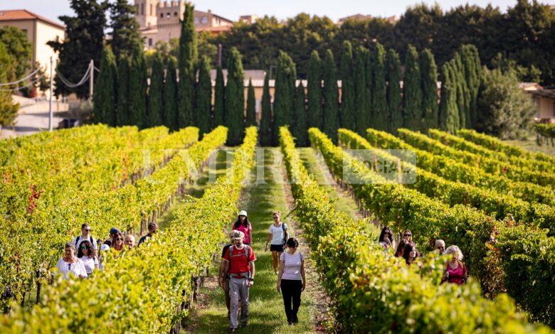 Montefalco chiude un 2024 straordinario e comincia un nuovo anno ricco di eventi e progetti per il territorio 2 Montefalco chiude un 2024 straordinario e comincia un nuovo anno ricco di eventi e progetti per il territorio 1
