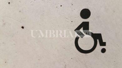 Interventi straordinari per l’edilizia scolastica, stanziati 860mila euro per abbattere le barriere architettoniche 13