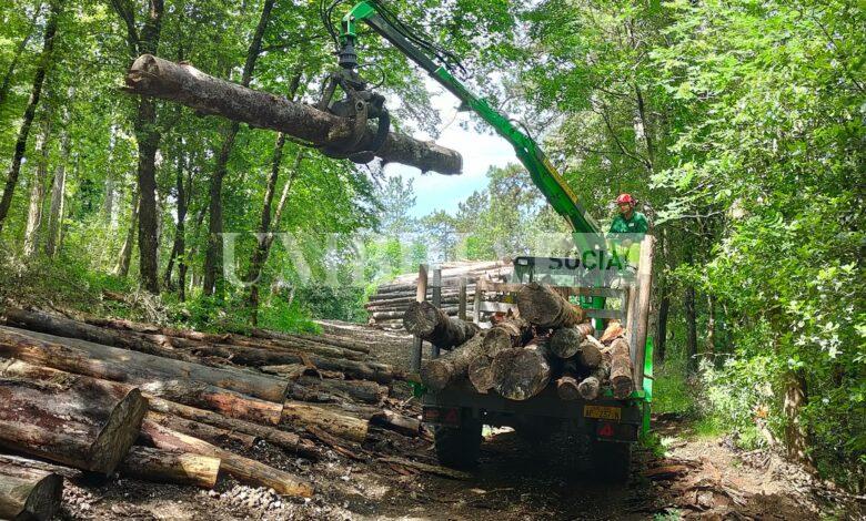 Lavori per oltre 885mila euro negli 8 Comuni dell'Altotevere 2 Lavori per oltre 885mila euro negli 8 Comuni dell'Altotevere 1