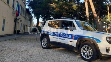 Polizia Provinciale di Perugia: presentato il rapporto delle attività del 2024 8 Polizia Provinciale di Perugia: presentato il rapporto delle attività del 2024 7