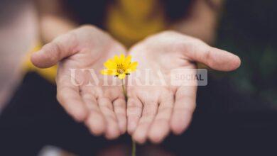 Compie 90 anni e chiede non regali ma donazioni per l'Alzheimer: il bel gesto di Elio Dini 6 Compie 90 anni e chiede non regali ma donazioni per l'Alzheimer: il bel gesto di Elio Dini 5