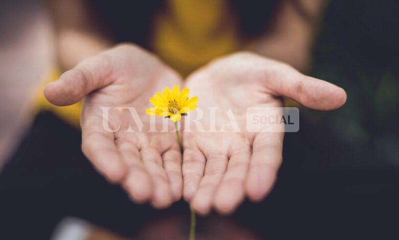 Compie 90 anni e chiede non regali ma donazioni per l'Alzheimer: il bel gesto di Elio Dini 2 Compie 90 anni e chiede non regali ma donazioni per l'Alzheimer: il bel gesto di Elio Dini 1