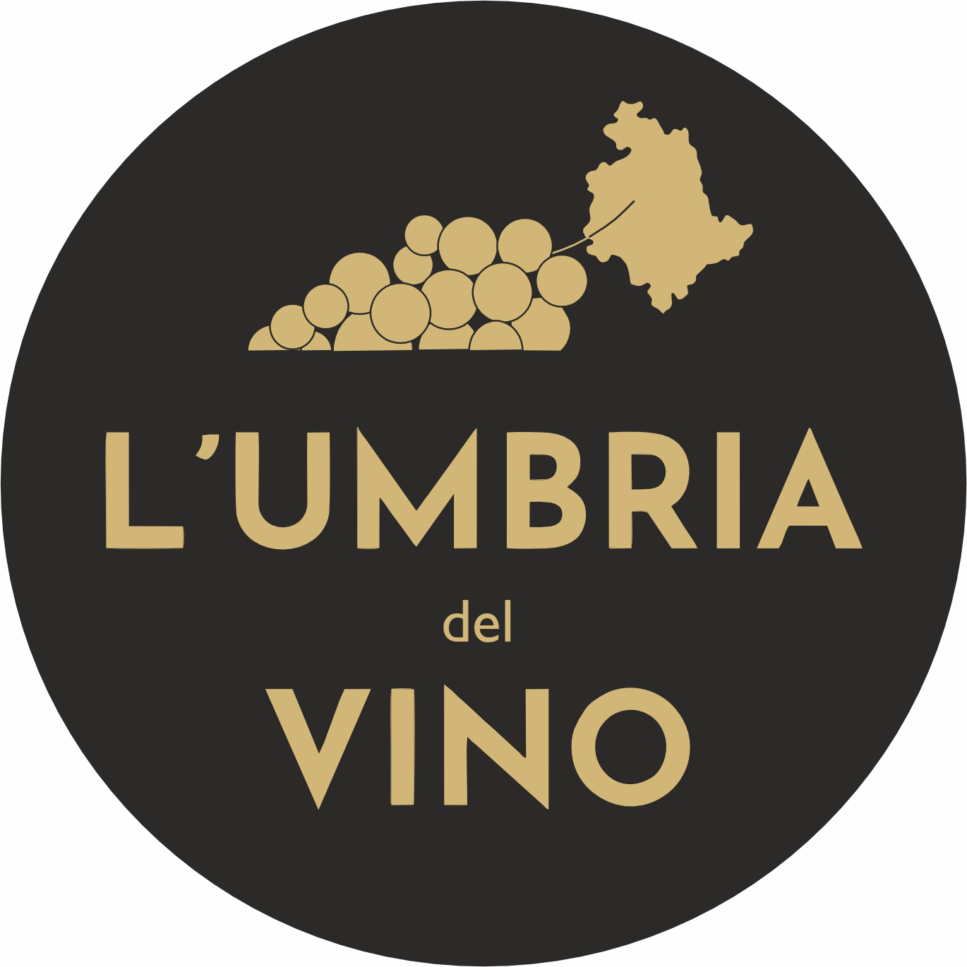 L’Umbria del Vino premia le eccellenze: qualità in crescita e valorizzazione del territorio 3