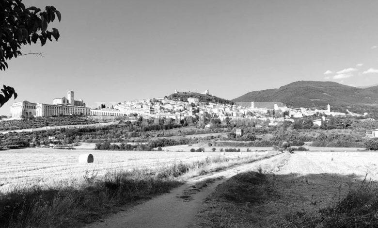 Ad Assisi si vota ma il centrosinistra si nasconde: stavolta solo fumate grigie dalle riunioni “in hotel” 2 Ad Assisi si vota ma il centrosinistra si nasconde: stavolta solo fumate grigie dalle riunioni “in hotel” 1
