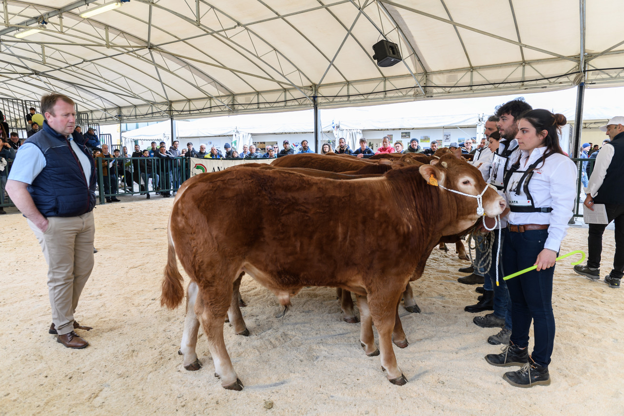 Agriumbria 2025: allevatori protagonisti della zootecnia sostenibile, con un focus su qualità, biodiversità e innovazione 9