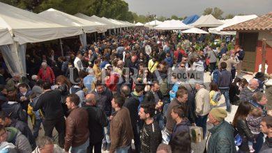 Agriumbria 2025: allevatori protagonisti della zootecnia sostenibile, con un focus su qualità, biodiversità e innovazione 6 Agriumbria 2025: allevatori protagonisti della zootecnia sostenibile, con un focus su qualità, biodiversità e innovazione 5