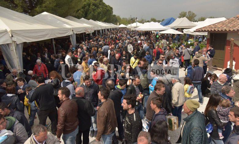 Agriumbria 2025: allevatori protagonisti della zootecnia sostenibile, con un focus su qualità, biodiversità e innovazione 2 Agriumbria 2025: allevatori protagonisti della zootecnia sostenibile, con un focus su qualità, biodiversità e innovazione 1