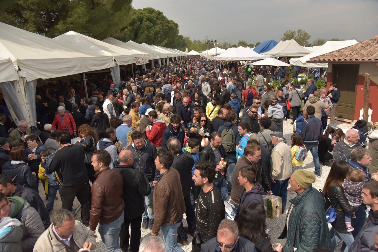 Agriumbria 2025: allevatori protagonisti della zootecnia sostenibile, con un focus su qualità, biodiversità e innovazione 3
