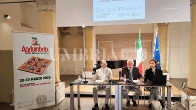 Agriumbria 2025: sicurezza e legalità nei campi, sviluppo sostenibile, lotta allo spreco e modelli di business. Attenzione ai giovani con l'incontro domanda-offerta 10 Agriumbria 2025: sicurezza e legalità nei campi, sviluppo sostenibile, lotta allo spreco e modelli di business. Attenzione ai giovani con l'incontro domanda-offerta 9