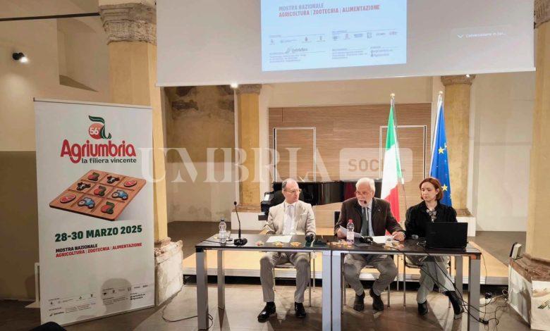 Agriumbria 2025: sicurezza e legalità nei campi, sviluppo sostenibile, lotta allo spreco e modelli di business. Attenzione ai giovani con l'incontro domanda-offerta 2 Agriumbria 2025: sicurezza e legalità nei campi, sviluppo sostenibile, lotta allo spreco e modelli di business. Attenzione ai giovani con l'incontro domanda-offerta 1