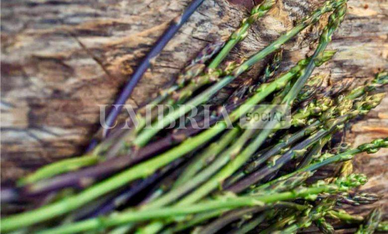 Asparagi sì, ma in sicurezza! I consigli del Soccorso Alpino e Speleologico Umbria 2 Asparagi sì, ma in sicurezza! I consigli del Soccorso Alpino e Speleologico Umbria 1