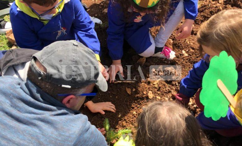 L’associazione Conita di Rieti dona alberi nella “Giornata Mondiale delle Foreste e Festa gli Alberi” 2 L’associazione Conita di Rieti dona alberi nella “Giornata Mondiale delle Foreste e Festa gli Alberi” 1