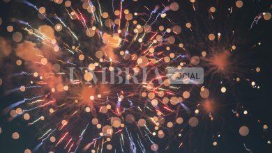 Perugia, la Stranieri festeggia il Capodanno lunare mongolo: musica, sapori e danze per salutare il nuovo anno 8 Perugia, la Stranieri festeggia il Capodanno lunare mongolo: musica, sapori e danze per salutare il nuovo anno 7