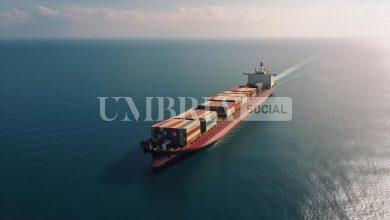 Esportazioni umbre in crescita nel 2024: aumento del 5,3% nonostante le sfide globali 22 Esportazioni umbre in crescita nel 2024: aumento del 5,3% nonostante le sfide globali 21